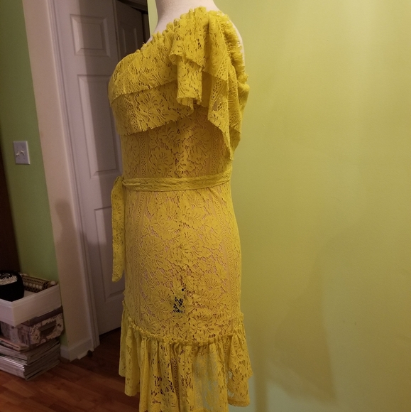 Flirty and Feminine Lace Dress by Sharagano - Picture 5 of 7